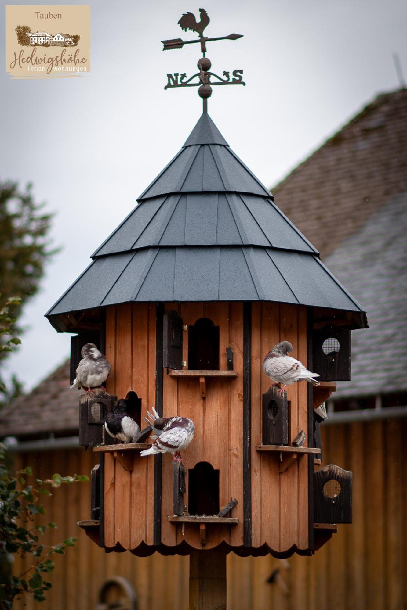 Urlaub Auf Dem Bauernhof Hedwigshoehe Hohnstein Exteriör bild